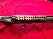 20251206_144147 (Large).jpg