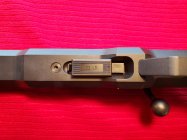 20251206_144436 (Large).jpg