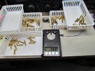 IMG_4207.JPG IMG_4207.JPG