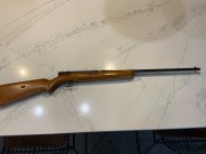 IMG_0575.jpeg IMG_0575.jpeg