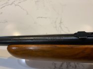 IMG_0578.jpeg IMG_0578.jpeg