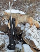 1000003619.jpg 1000003619.jpg