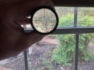 Leupold VX5HD 3-15x44 reticle view.jpg