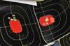 M305_groups@100m.jpg