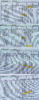 Sat HV R1 to R4.gif