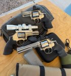 IMG_9162.jpeg IMG_9162.jpeg