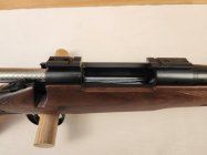 20251210_210828 (Medium).jpg