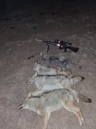 20251221_195713.jpg 20251221_195713.jpg