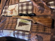 IMG_5213.jpeg IMG_5213.jpeg