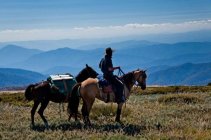 Mount-Bogong-Packhorse-Adventure-Melbourne_large.jpg