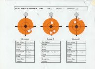 Berger 250 Hybrid Target0001.jpg