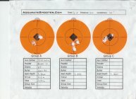 Berger 250 Hybrid Target0003.jpg