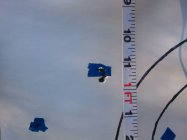 2012-03-21 17.53.11.jpg