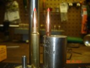 DSC02462.JPG