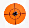 First Shot2.jpg