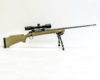 Gun Pic 1 8x10.jpg