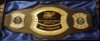 2017 belt.jpg