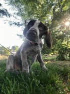 IMG_1513.JPG IMG_1513.JPG