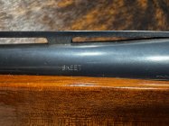 IMG_3805.jpeg