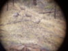 20171008_085151.jpg