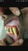 IMG-20171017-WA0040.jpg