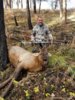 Opies2017elk.jpg