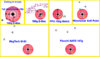 1-TEST.jpg