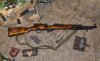SKS1.jpg