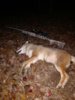Muzzle Loader Yote.jpg