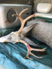 5 point in Yukon.jpg