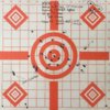 2016_07_06_223 Hornady 55gr VMax.jpg