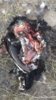 0640D5FB-5EAD-486D-A51F-81485B767BAD.jpeg