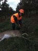 G_deer_file_small.JPG
