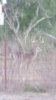 20171225_072336.jpg