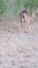 20171225_072154.jpg