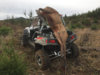 tc elk2.jpg