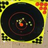 20171230_085744 (1024x1024).jpg