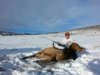 elk 2017.jpg