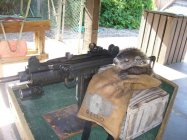 woodchuck.jpg