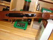 winchester palma 007.JPG