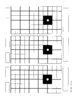 100 Yard grouped (3).jpg