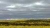 antelope WY.jpg