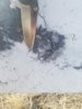 20180120_120823.jpg