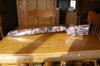 DSC03697.JPG