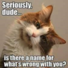 upload_2018-2-12_11-20-57.png