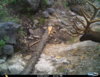 I__00542.JPG