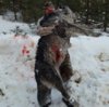 20180307_090341.jpg