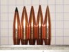 105gr RDF.jpg