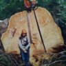 old_heli_logger