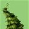 Pinetreebbs